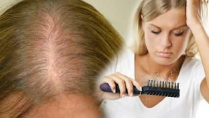 Care este cea mai eficientă metodă împotriva căderii părului? Rețete de mască care opresc căderea părului