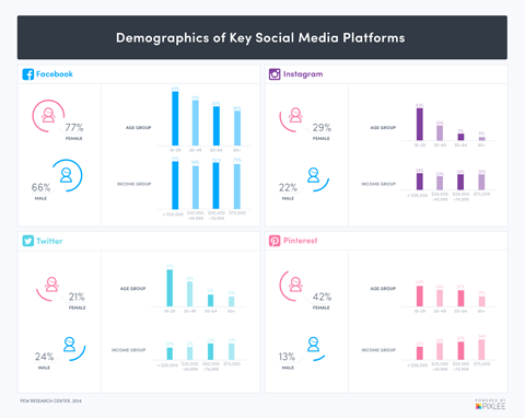 demografia social media