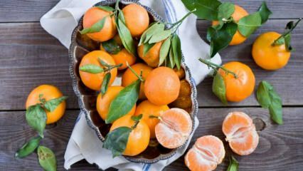 Care sunt avantajele mandarinei? Ce se întâmplă dacă mănânci mandarine timp de o săptămână?