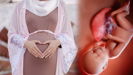 Rugăciunile și esmaül Hüsna dhikrs să fie citite pentru ca bebelușul să fie sănătos în timpul sarcinii