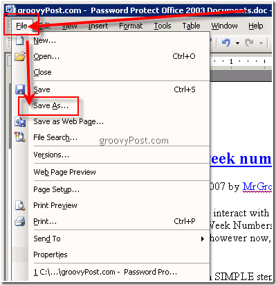 Parola Protect Excel 2003 .xls