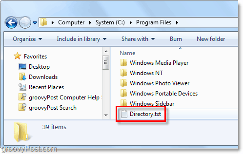 un fișier directory.txt este creat pe sistemul Windows