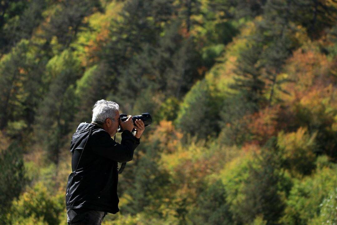 Muntele Ilgaz: Toate culorile toamnei sunt aici