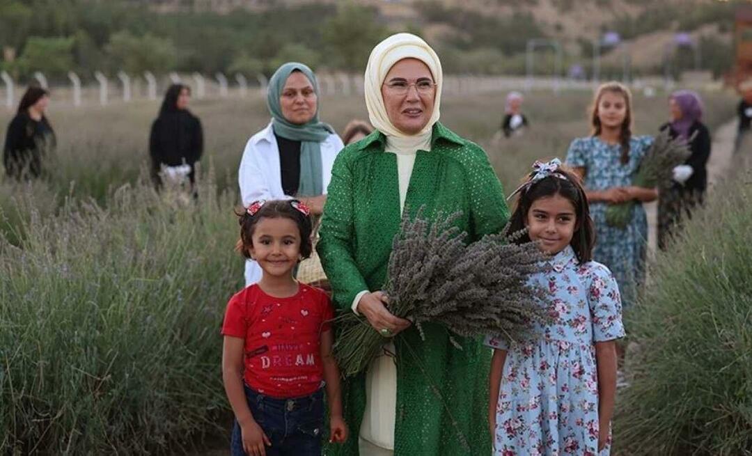 Prima Doamnă Erdogan a vizitat Satul Ecologic și a recoltat levănțică în Ankara