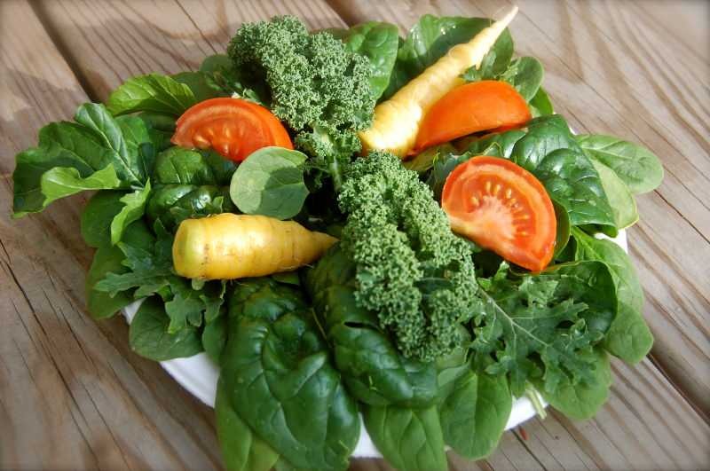 Ce este o dietă vegană? Lista dietelor vegetale