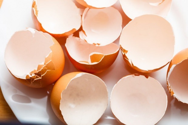 tratamentul cariilor cu coji de ouă