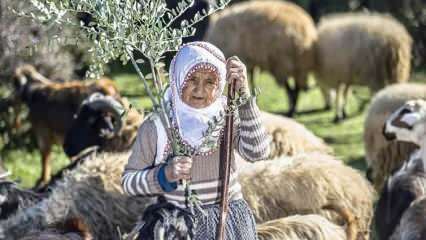 Mătușa Fatma a fost păstor pe poalele Munților Amanos timp de o jumătate de secol!
