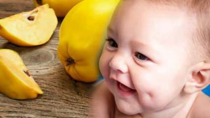 Are gropița gutui? Consumul de gutui în timpul sarcinii înfrumusețează copilul?
