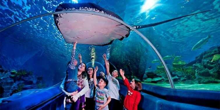  Rame de la Istanbul Sea Life Aquarium
