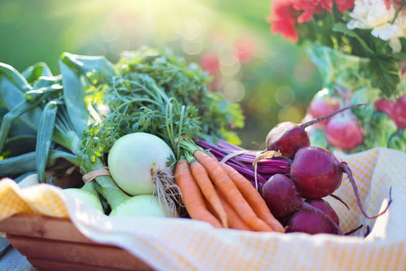 Care este dieta legumelor? Cum se face o dietă vegetală