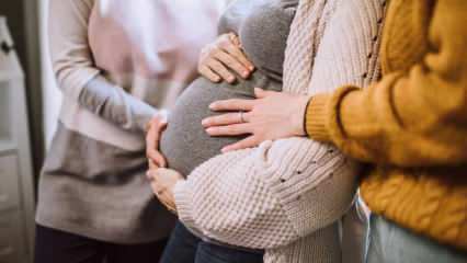 Cum se formează o sarcină gemelară? Simptomele sarcinii gemene