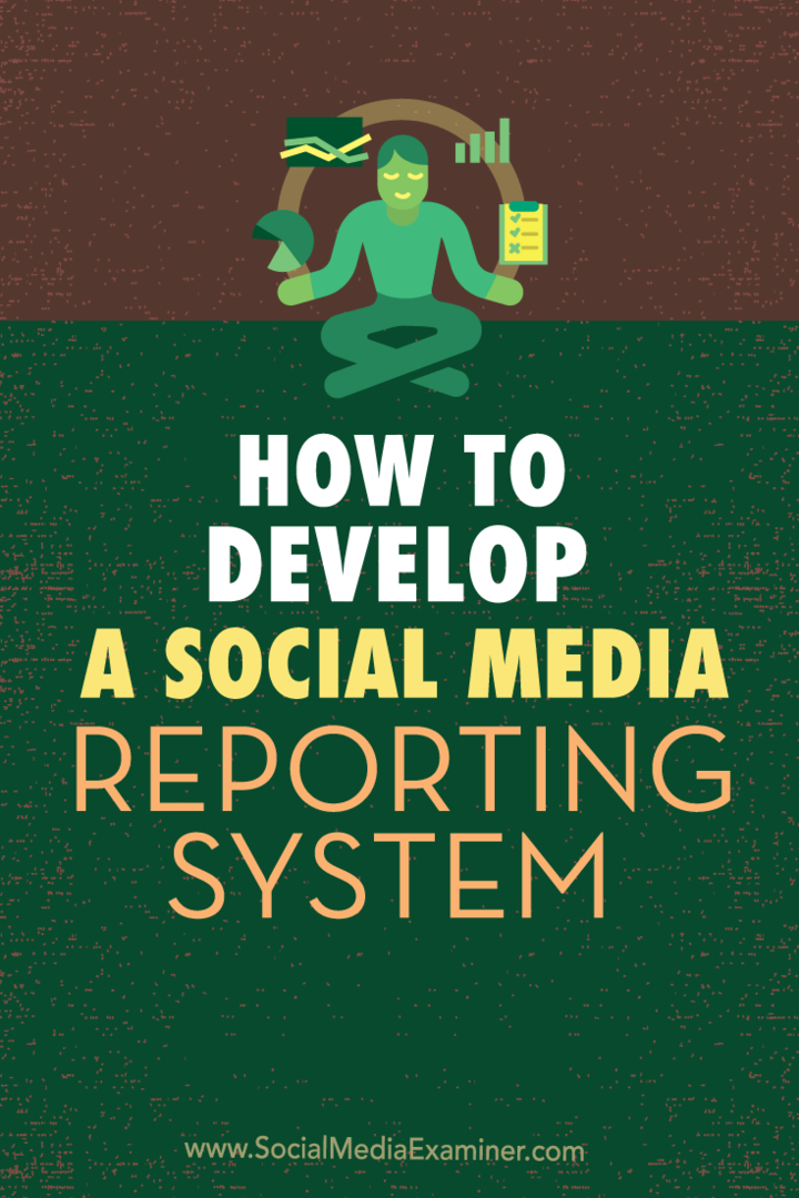 dezvoltarea sistemului de raportare social media