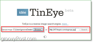 Screenshot TinEye - căutarea imaginii pentru versiuni duplicate și mai mari