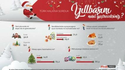 Sondajul Areda a discutat despre preferințele de anul nou ale poporului turc! Carnea de pui este carne de curcan în noul an...