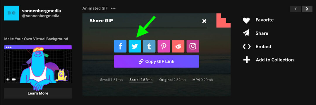 Cum să creați și să utilizați GIF-uri în marketingul dvs. Twitter: Social Media Examiner