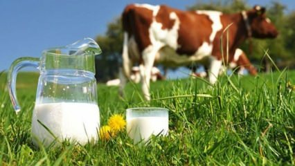 Ce este alergia la lapte? Când trece alergia la lapte la sugari? Alergie la laptele de vacă ...