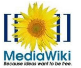 Plugin MediaWiki pentru Microsoft Word 2010 și 2007