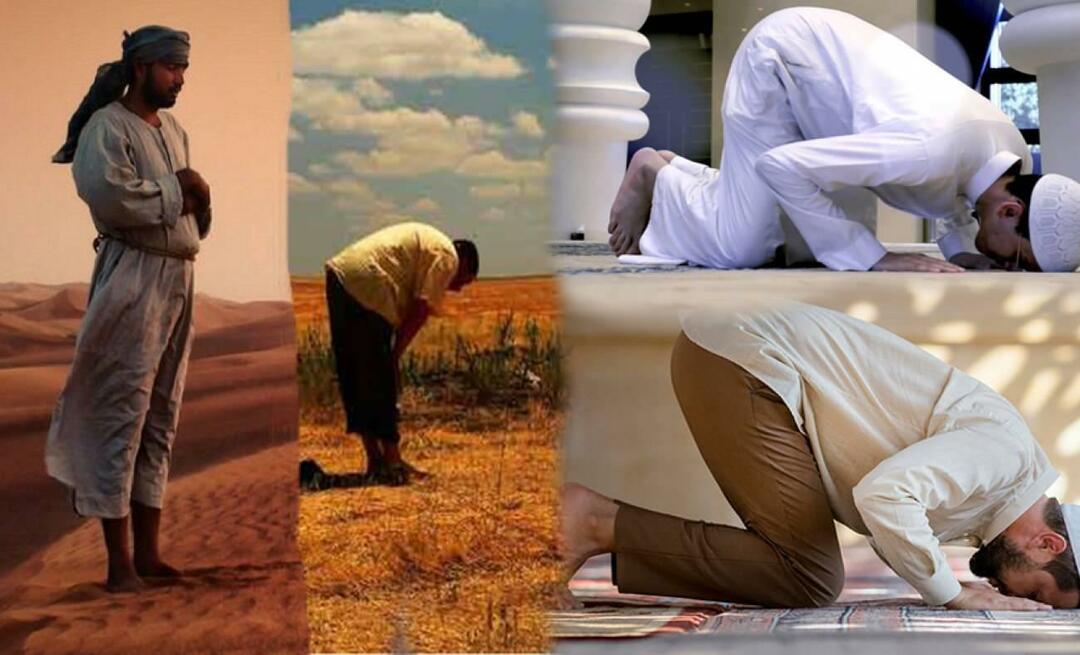 Ce înseamnă mișcările corpului în rugăciune? Care este înțelepciunea de a sta în picioare, a se închina și a două prosternare?