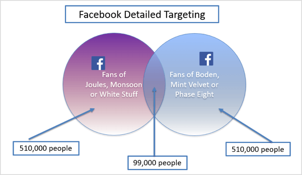 Grafic al exemplului de direcționare detaliat pe Facebook