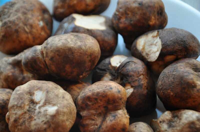 imagine de ciuperci trufă amestecată cu cartofi