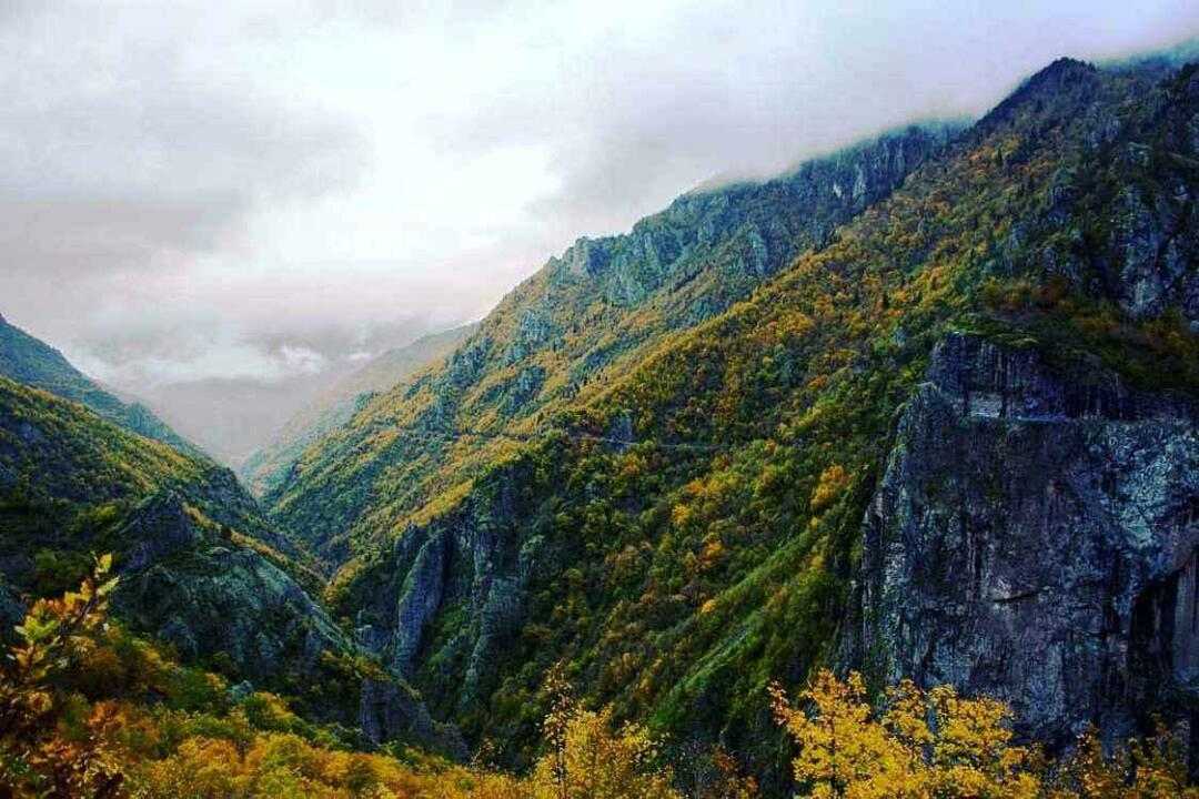 Parcul Național Valea Hatilei