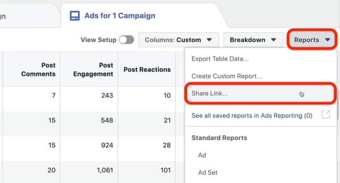 distribuie anunțuri Facebook raport personalizat