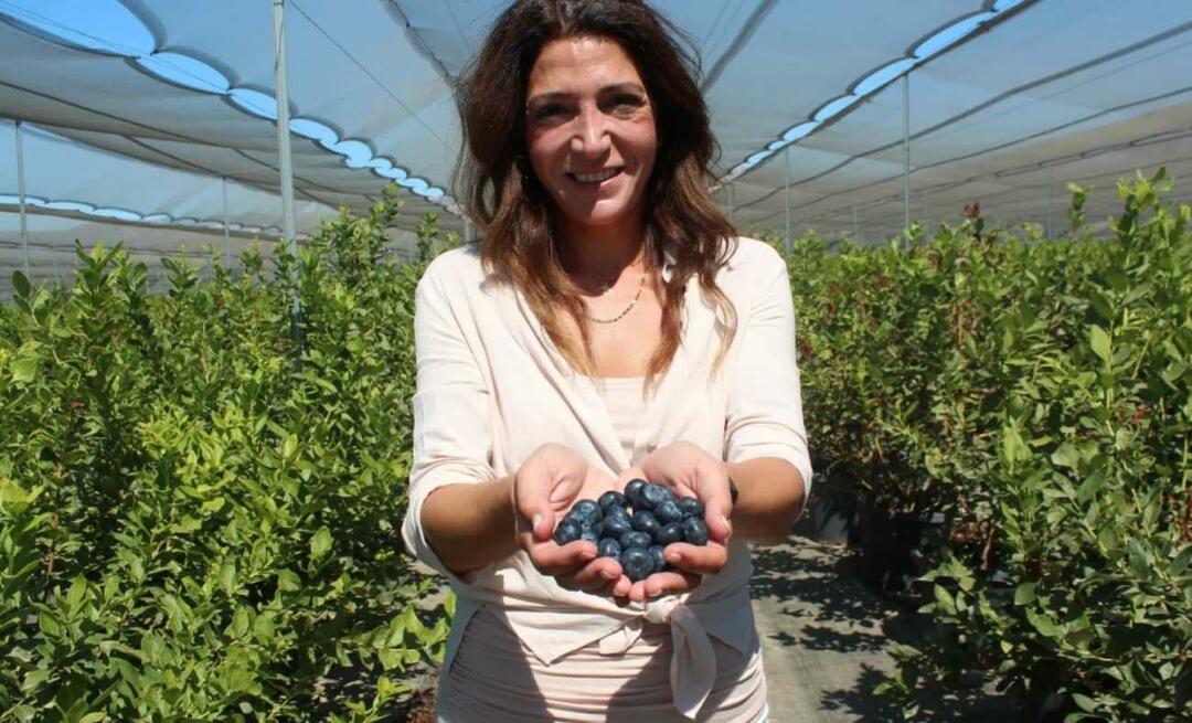 A devenit al treilea fermier ca mărime din Turcia prin cultivarea de afine!