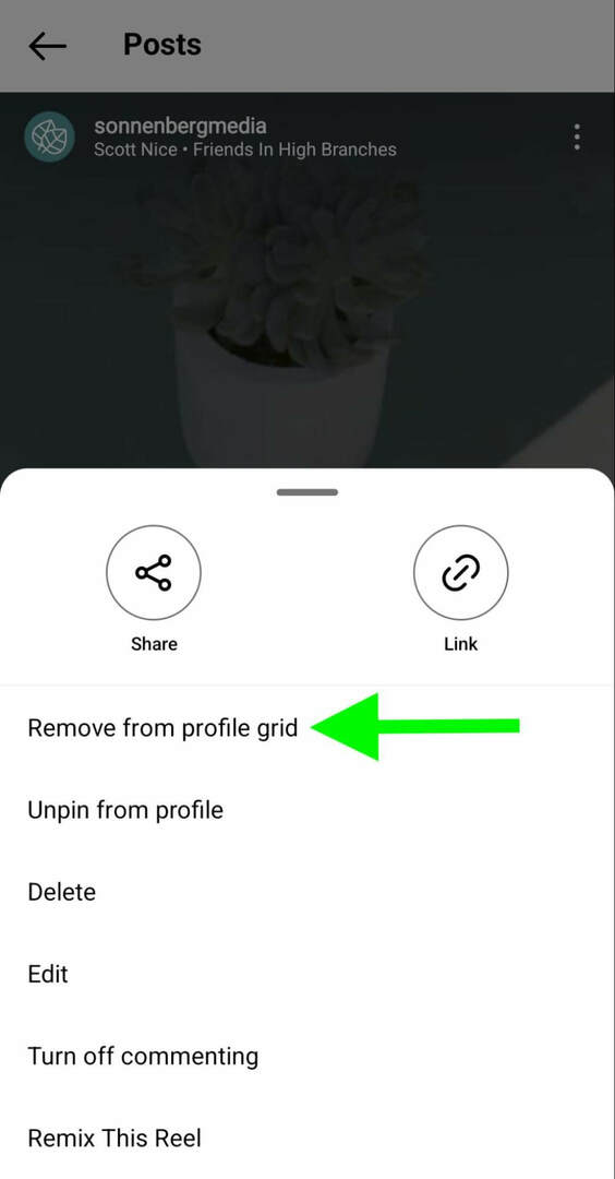 cum-se-deblocați-instagram-reels-profile-remove-grid-sonnenbergmedia-pasul-4