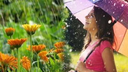 Vindecarea ploii din aprilie? Care sunt rugăciunile pentru a fi citite în apa de ploaie? Beneficiile ploii din aprilie