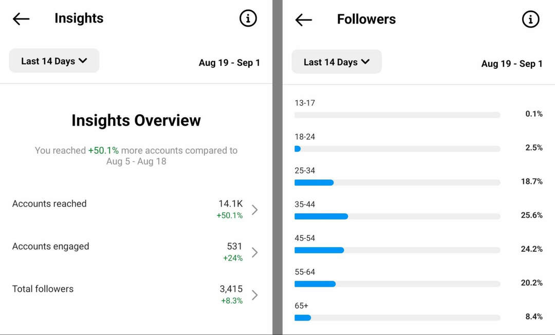 cum-se-verifică-perioadele-audience-pe-aplicația-instagram-prezentare-de ansamblu-followers-example-3