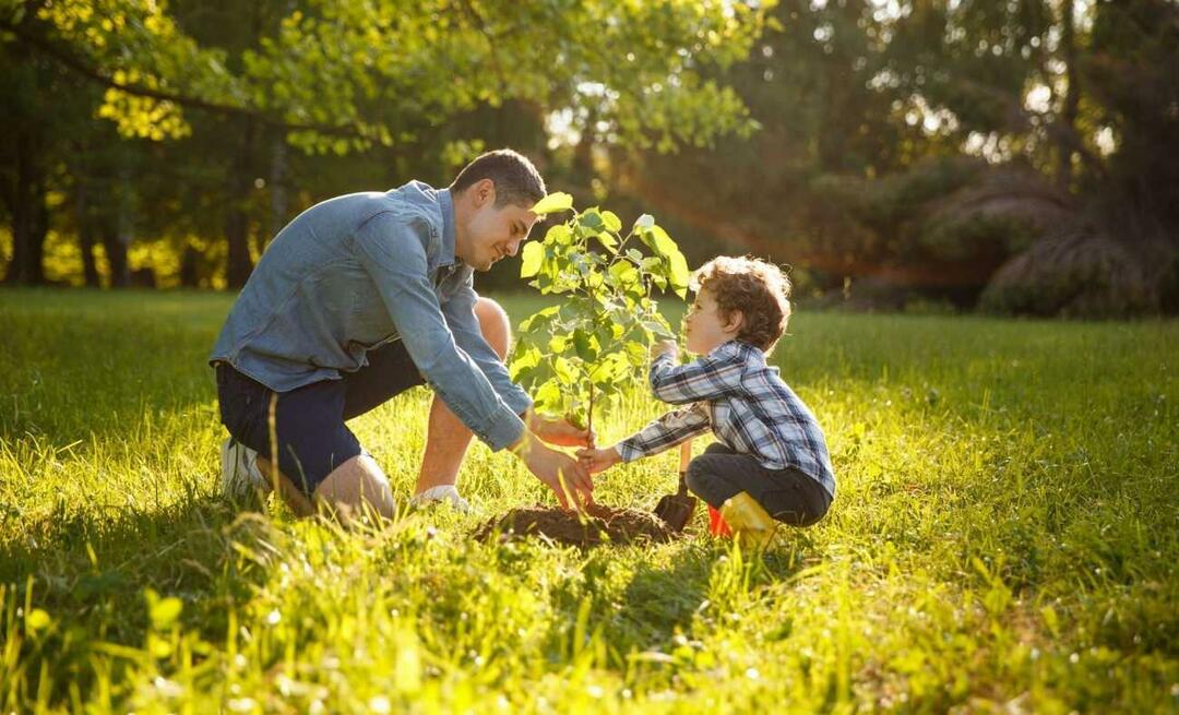 Care sunt modalitățile de a insufla copiilor dragostea pentru natură? Cum să explici copiilor importanța naturii?