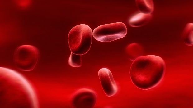 Ce este dieta grupelor sanguine? Cum se face?
