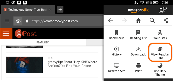 Navigare privată Silk Browser