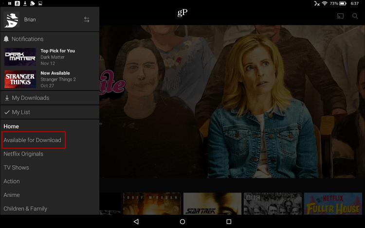 Descărcați Netflix la Fire HD 10