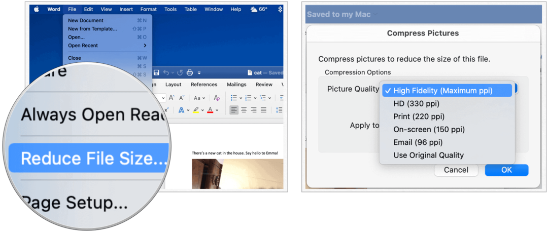 Microsoft Word pe Mac reduce dimensiunea fișierului