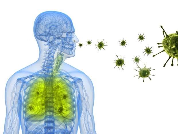 virusul coronei se instalează în nas prin plămâni