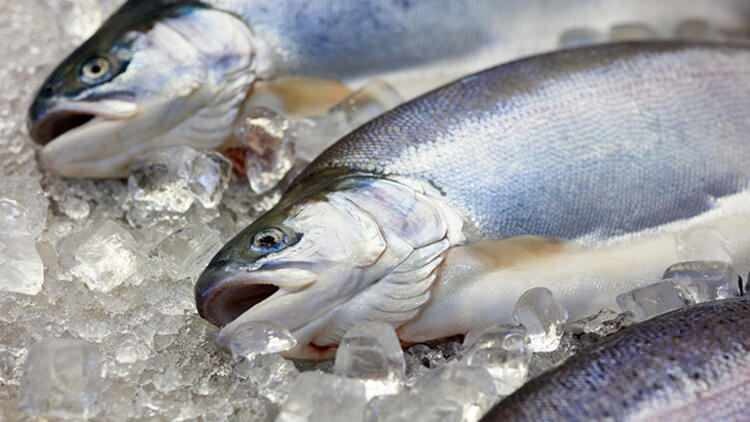 Se schimbă gustul peștelui aruncat în congelator?
