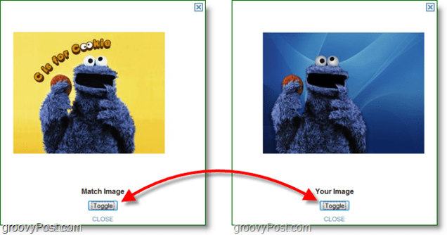 Screenshot TinEye - compararea imaginii originale și imaginea potrivită