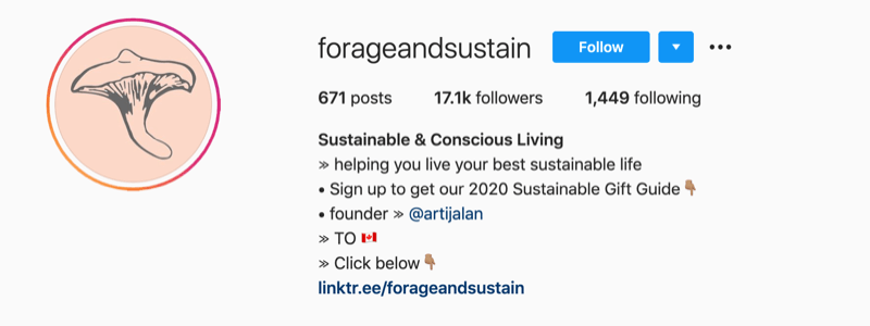 Exemplu de profil instagram de la @forageandsustain cu o notă în informațiile profilului lor pentru a face clic pe linkul bio pentru mai multe