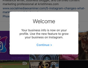 profilurile de afaceri instagram se conectează la pagina de facebook