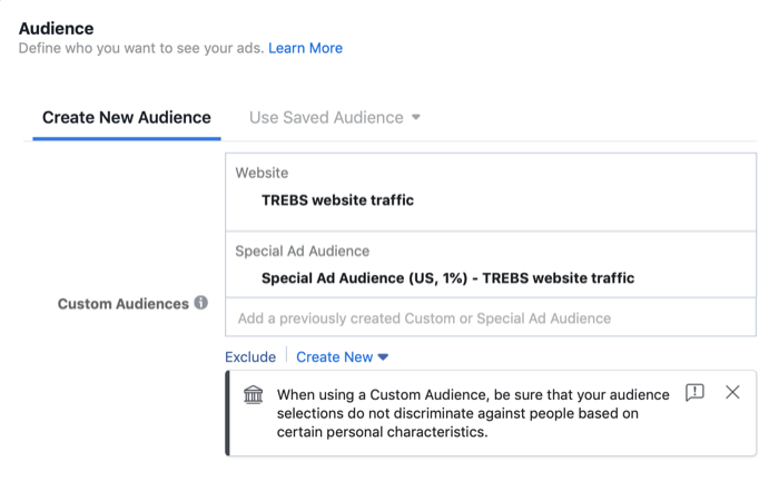 audiență publicitară specială în secțiunea Public din configurarea campaniei Facebook