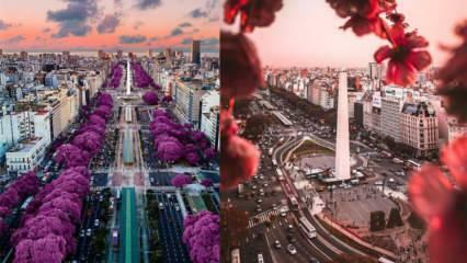 Orașul vremii bune: locuri de vizitat în Buenos Aires!