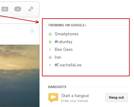tendințe pe google +