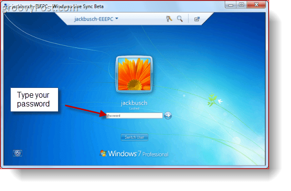 Beta de sincronizare Windows Live