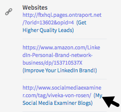 Deși nu vă mai puteți personaliza linkurile de profil LinkedIn, puteți include descrieri lângă ele.