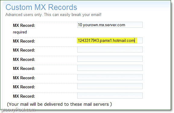 a trecut informațiile serverului tău live de servicii mx pe pagina de opțiuni avansate de domeniu pentru înregistrări personalizate mx