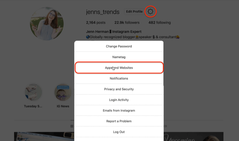 pictograma roată profil instagram editați opțiunile meniului setări evidențiind opțiunea aplicații și site-uri web