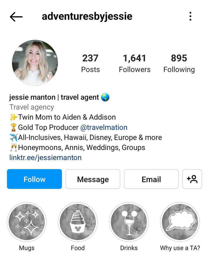 instagram-bio-adventuresbyjessie-nume-afacere-exemplu