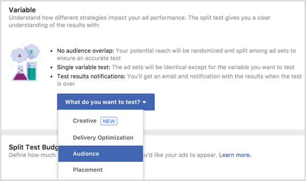 Variabilă de testare divizare publicitară Facebook