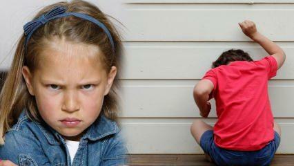 Cum să faci față problemei furiei la copii? Cauza furiei și agresivității la copii 
